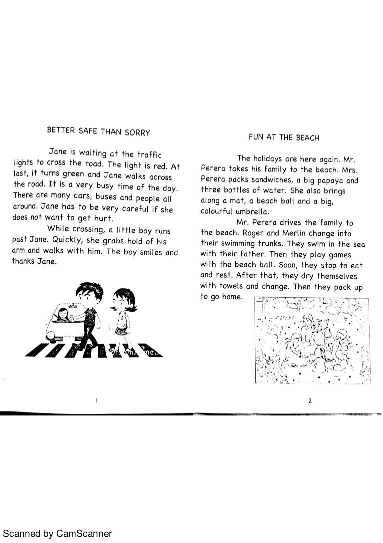 Factual essay example picture