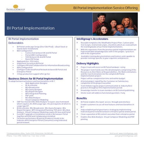 Bi Portal Implementation Service Offering