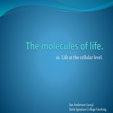 Life at the cellular level