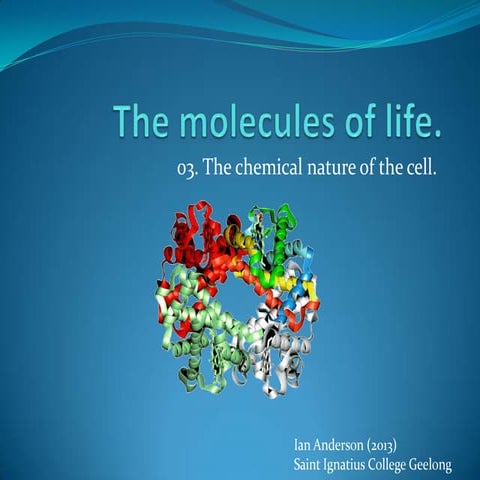 The chemical nature of the cell