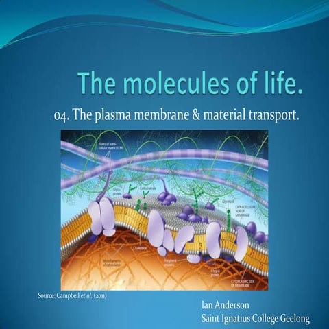 The plasma membrane and material transport