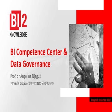 BI Competence Center & Data Governance