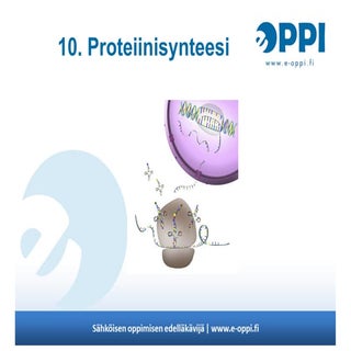 Symbioosi 2 / luku 10