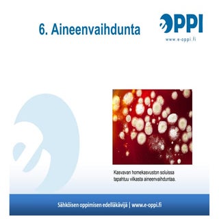 Symbioosi 2 / luku 6