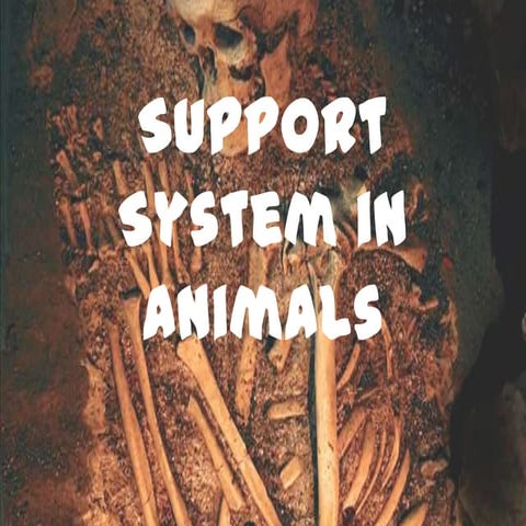 Animal Support System