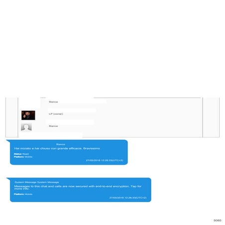 Le chat tra Luca Palamara e Bianca Ferramosca