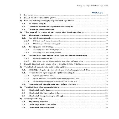 Bài tiểu luận về công ty Bibica