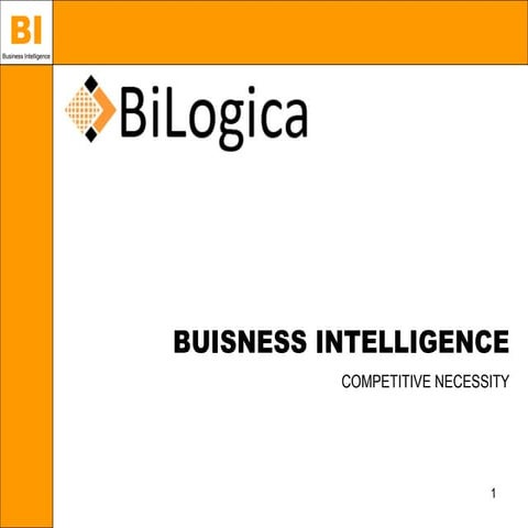 BiLogica - BI services