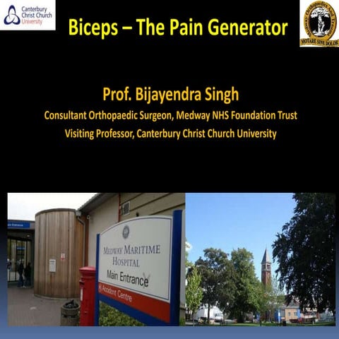 Biceps   the pain generator