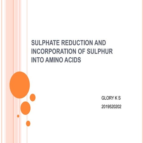 biochemistry of sulphur containing aminoacids