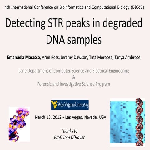 Detecting STR Peaks in Degraded DNA samples