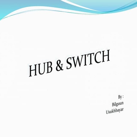 Switch and Hub