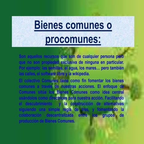 Bienes comunes o procomunes 1ºbc