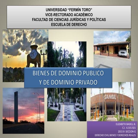 Bienes del dominio publico y dominio privado | PPTX
