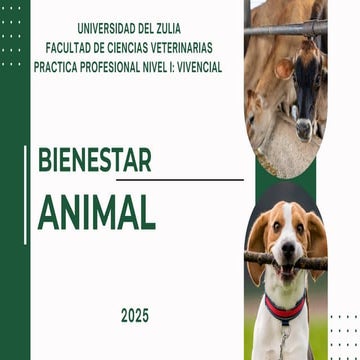 Presentación Los 5 dominios del bienestar animal | PDF