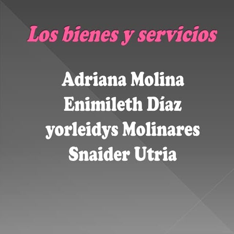 Bienes y servicios