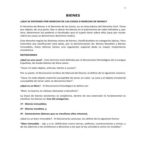 Bienes y su clasificación