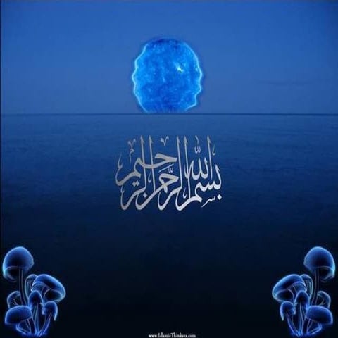 Bifidobacteria  & prebiotic