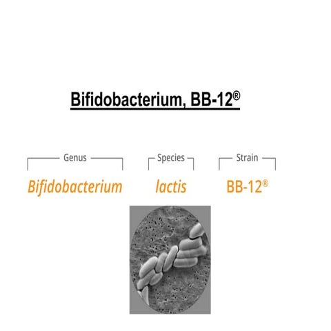 Bifidobacterium, BB-12®.pdf