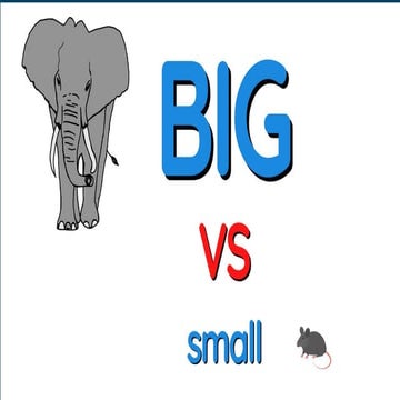 Understanding Size: Identifying Big and Small Objects for Early ...
