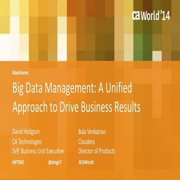 Big Data Management: A Unified Approach to Drive Business Results