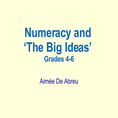 Big Ideas Numeracy Workshop