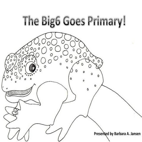 Big6 Primary