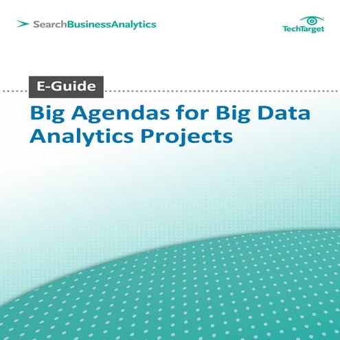 Big agendas for big data analytics projects