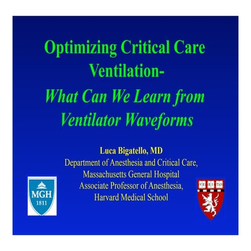 Optimizing Critical Care Ventilation: What can we learn from Ventilator Wavef...