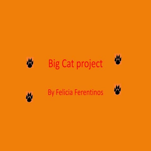 Big cat project 1