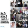 Surviving & Thriving in a Big Company