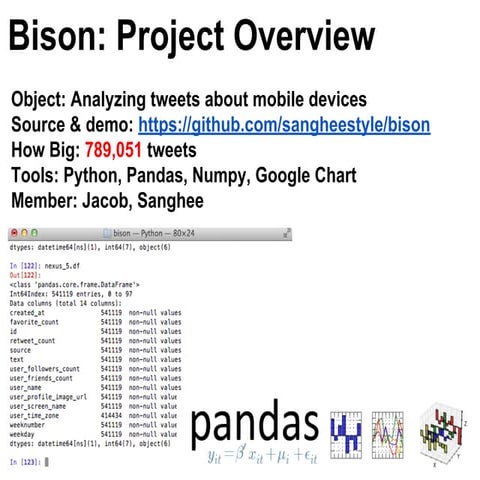 Bison: Project Overview | PDF