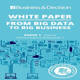 White paper "From Big Data to Big Busine$$"