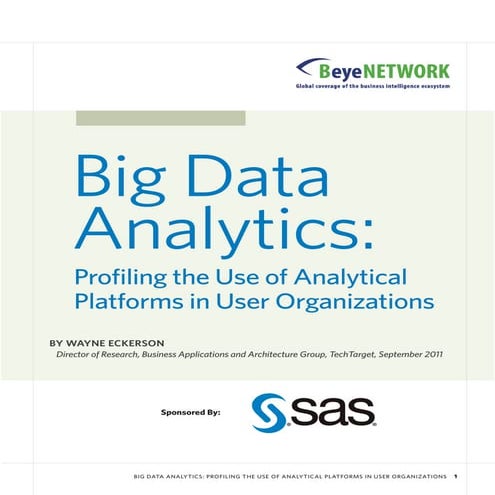 Big Data analytics usage