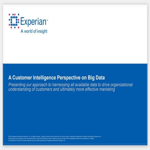 Big data and marketing (ealry view) (10 06-11)