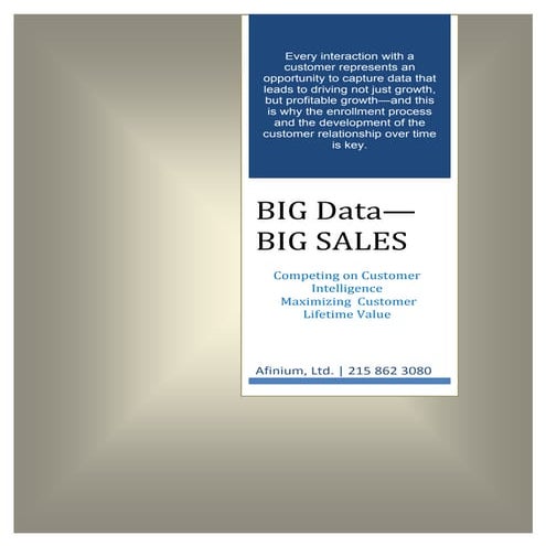 Afinium.com: Big Data Big Sales white paper 2014 