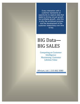 Afinium.com Big Data Big Sales White Paper 2014 