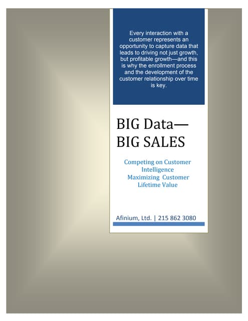 Afinium.com Big Data Big Sales White Paper 2014 