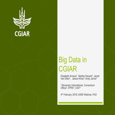Webinar@AIMS: Perspective on Big Data in the CGIAR