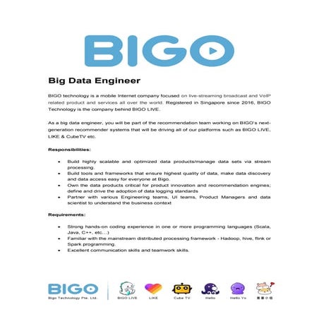Big Data Engineer 