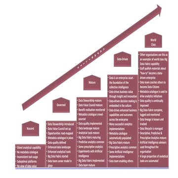 Big Data Fabric Capability Maturity Model