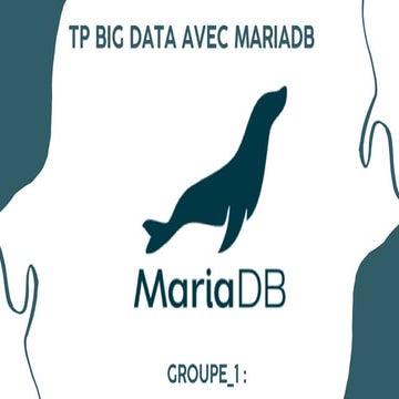 modelisation des grand volumes de données avec MariaDB:Big Data