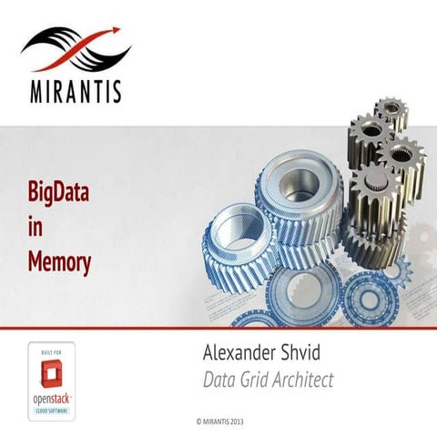 Big datainmemory pub