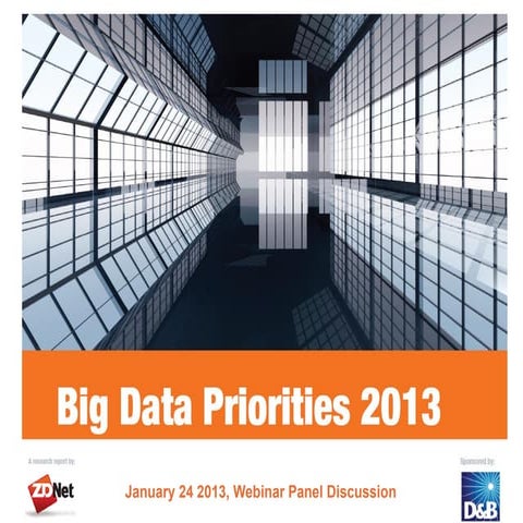 Big Data Priorities: January 24, 2013 Webinar
