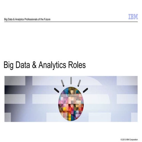 Big data roles overview july 2013