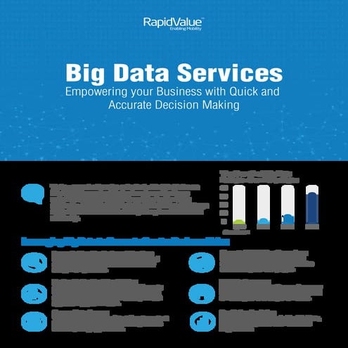 Big Data Services - Brochure By RapidValue Solutions