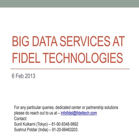 Big dataservicesatfidel