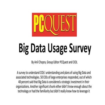 Big Data Usage Survey