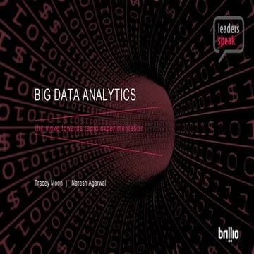Big Data Analytics: The Move Toward Rapid Experimentation