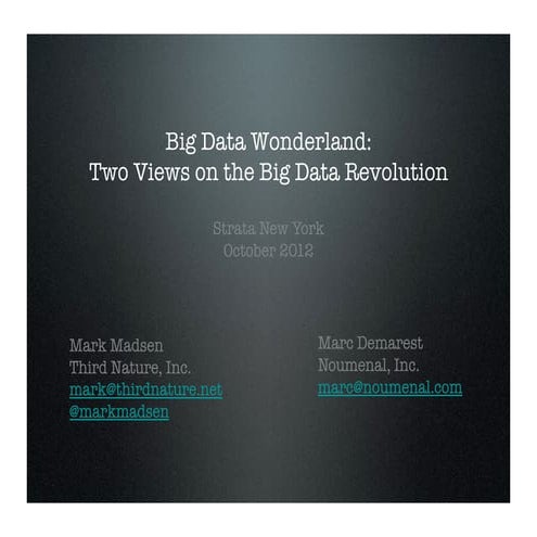 Big data wonderland